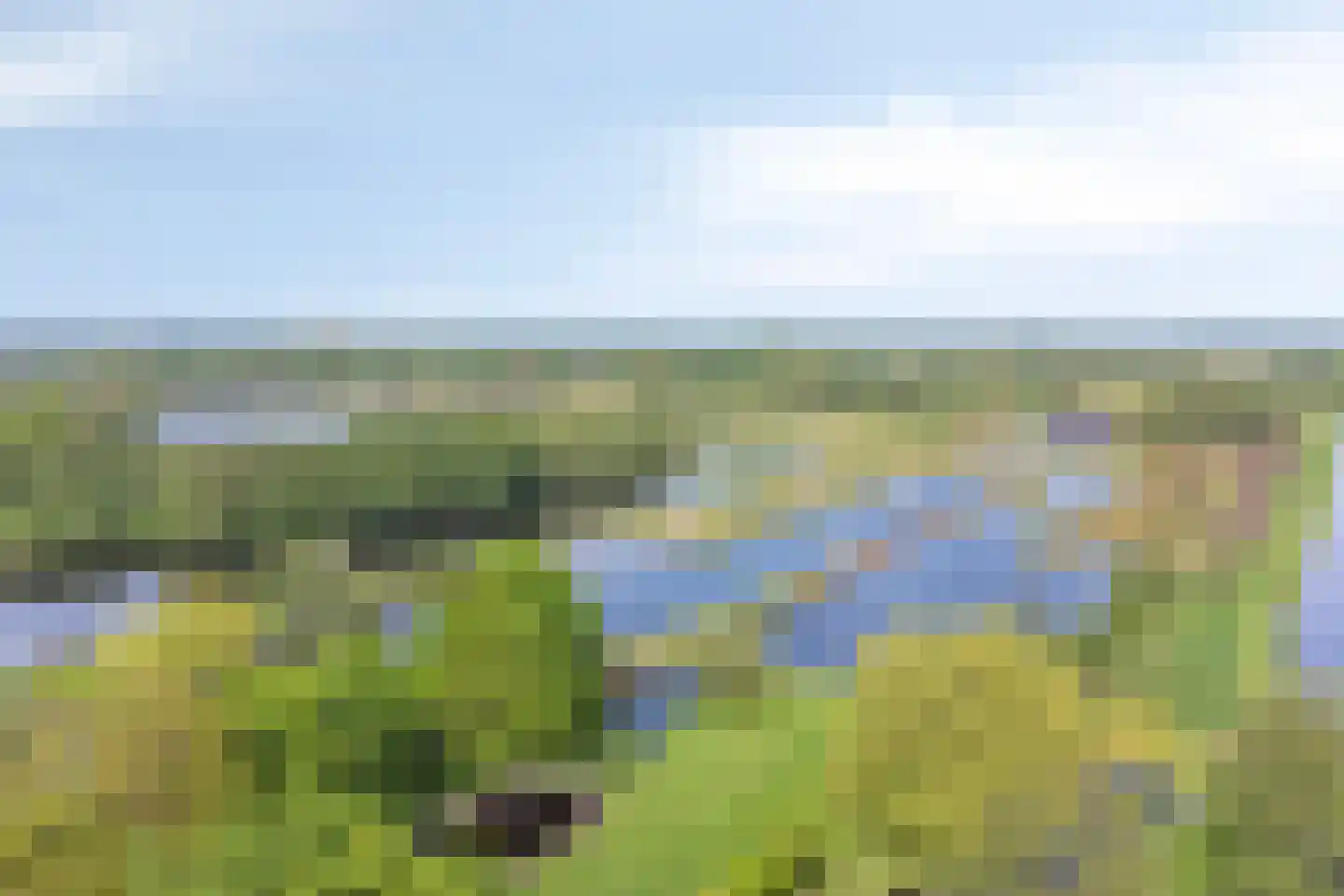 Looydijk 77 Tienhoven thumbnail 52