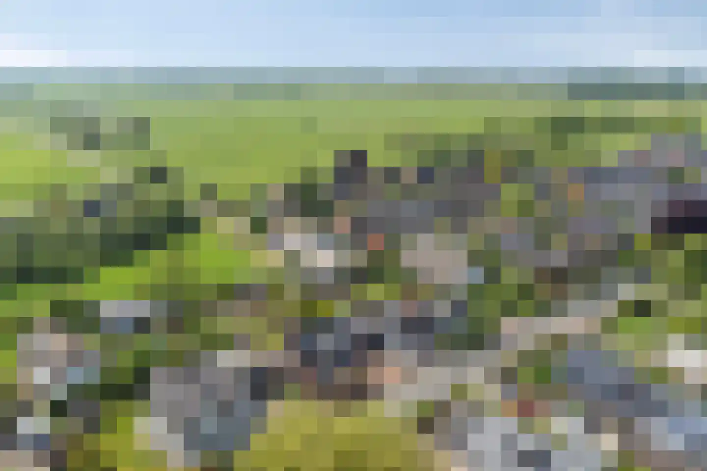 Looydijk 77 Tienhoven thumbnail 55