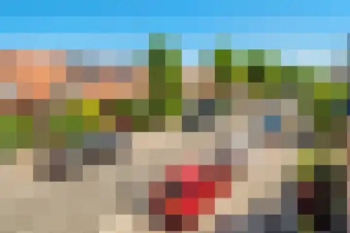 Looydijk 79 De Bilt thumbnail 18