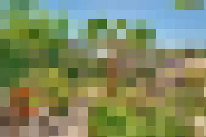 Looydijk 79 De Bilt thumbnail 24