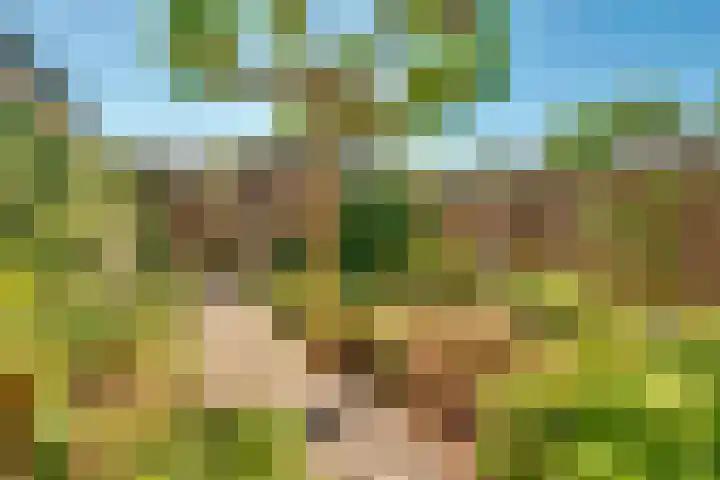 Looydijk 79 De Bilt thumbnail 25