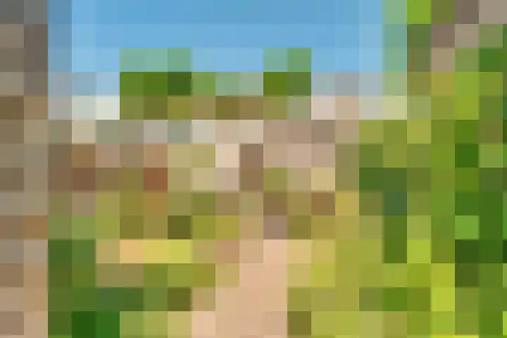 Looydijk 79 De Bilt thumbnail 26