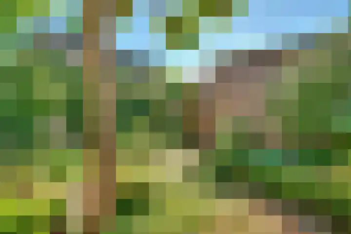 Looydijk 79 De Bilt thumbnail 28