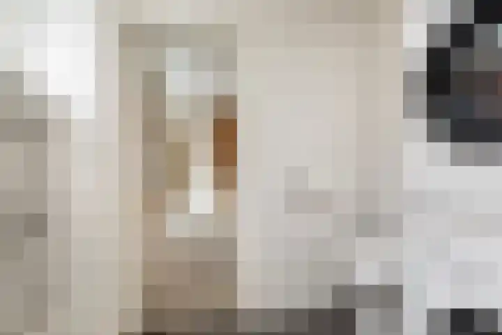 Looydijk 83 De Bilt thumbnail 12