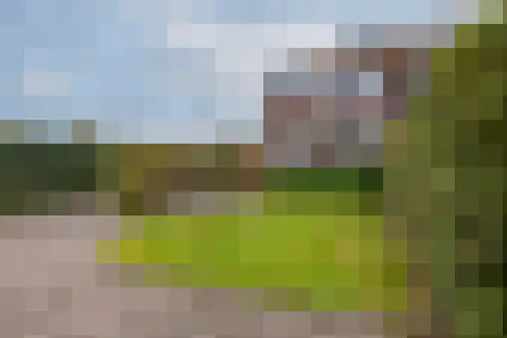 Looydijk 83 De Bilt thumbnail 14