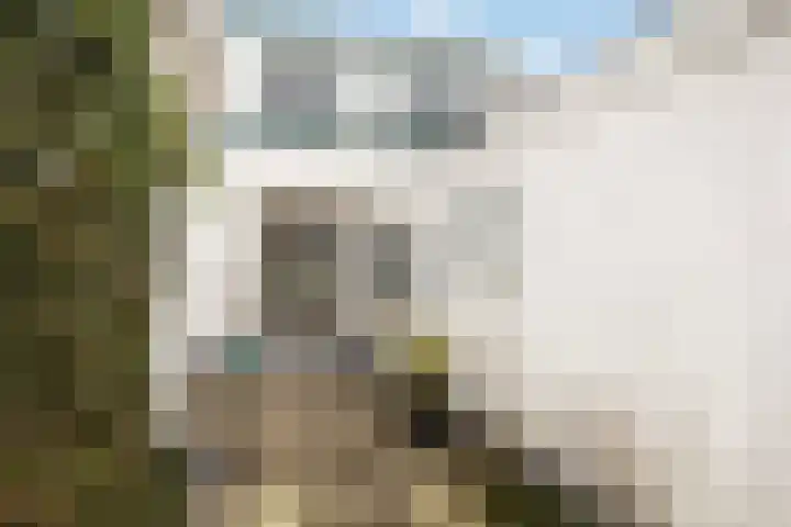 Looydijk 83 De Bilt thumbnail 17