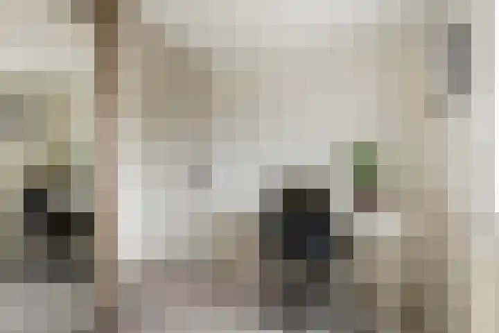 Looydijk 83 De Bilt thumbnail 24