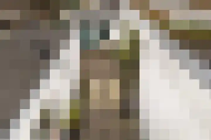 Looydijk 83 De Bilt thumbnail 27