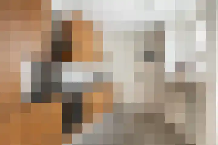 Looydijk 83 De Bilt thumbnail 4