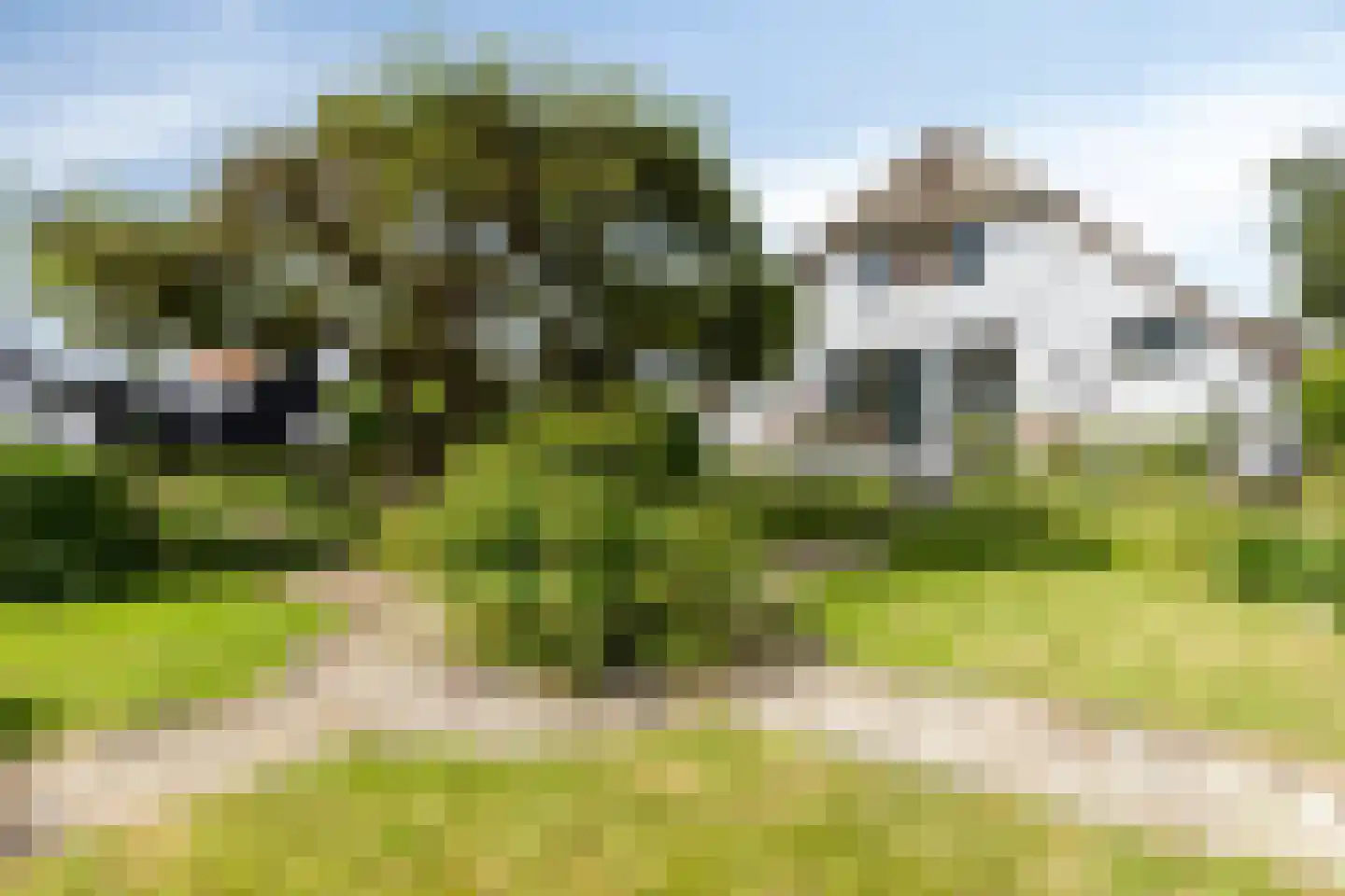 Looydijk 83 Tienhoven thumbnail 71