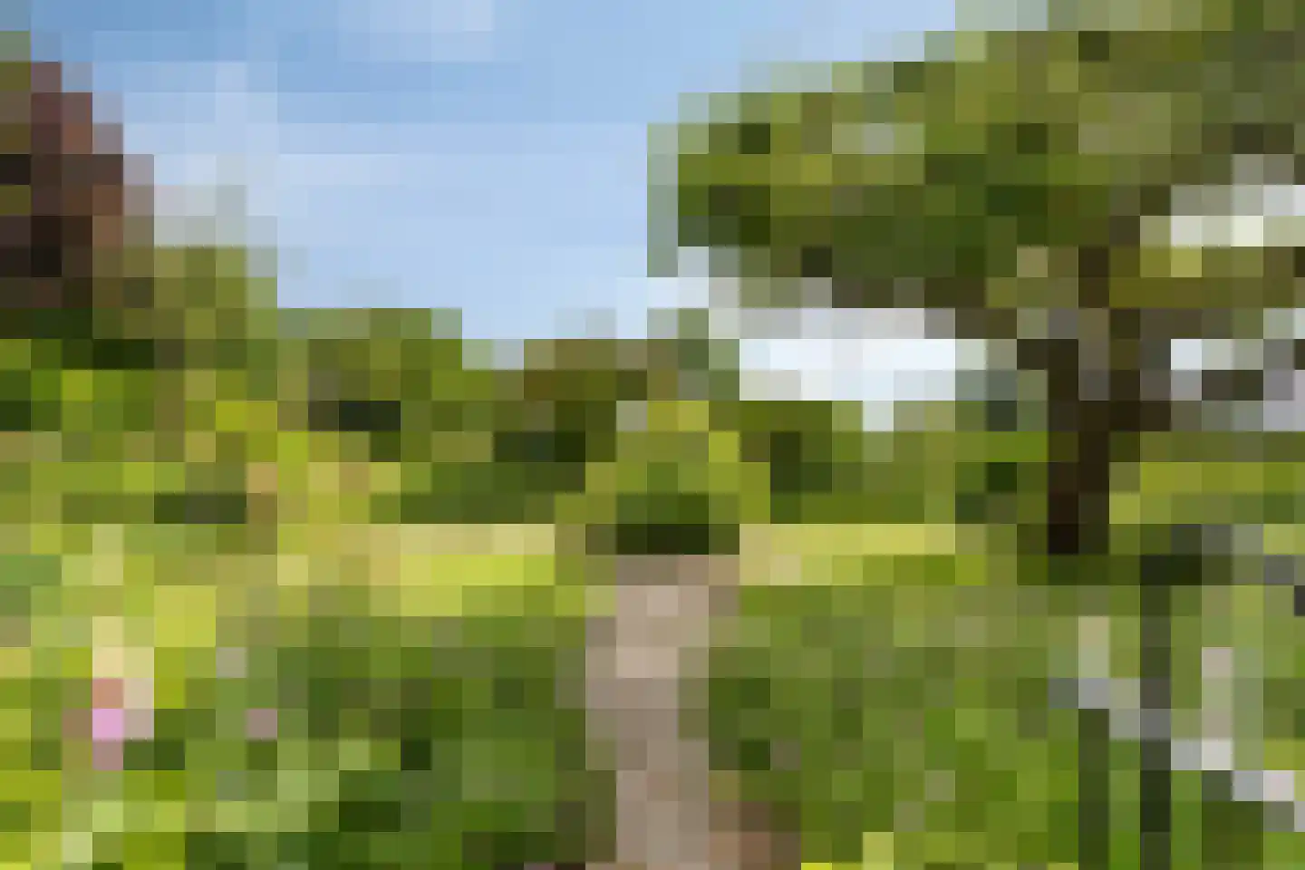 Looydijk 83 Tienhoven thumbnail 72