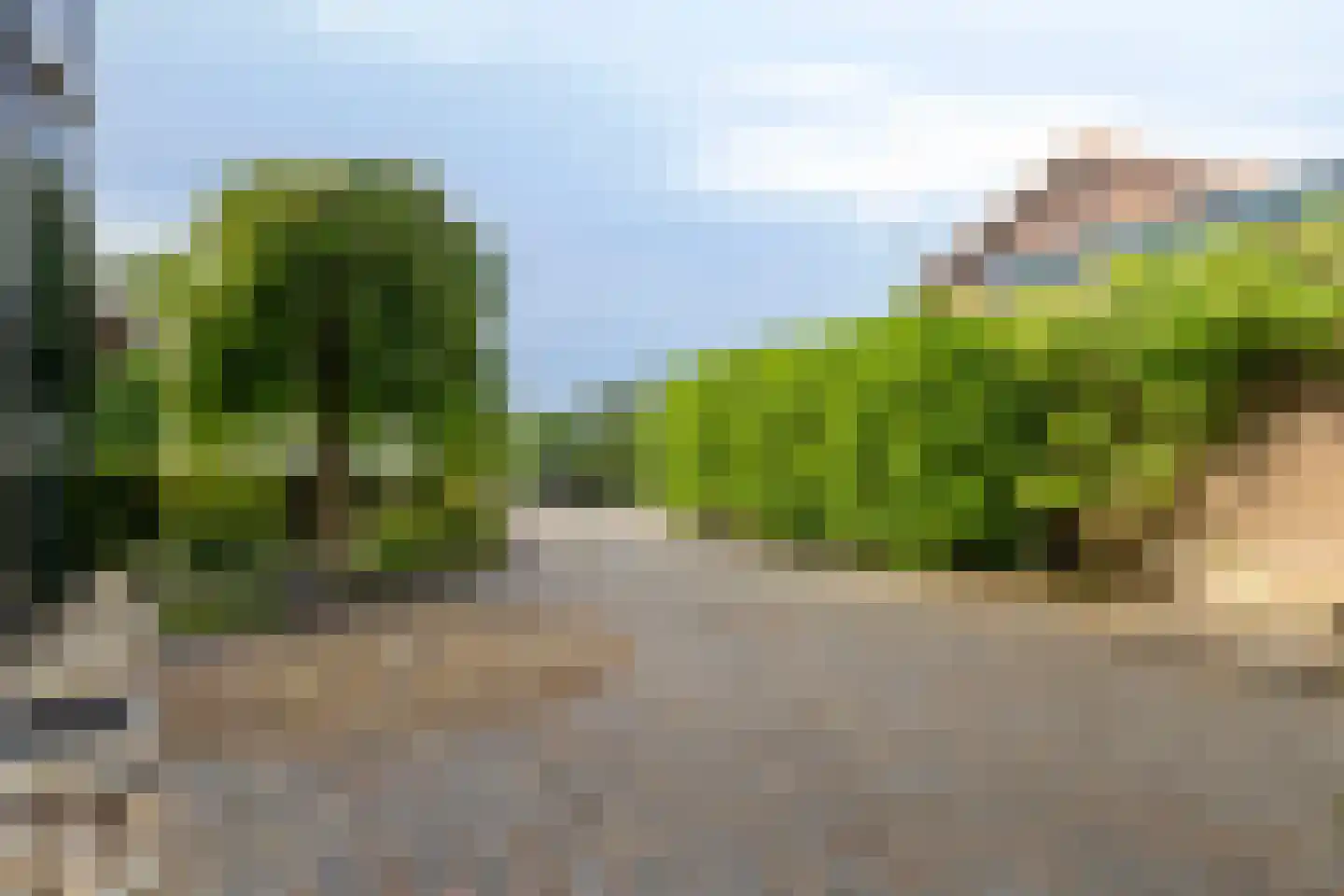 Looydijk 83 Tienhoven thumbnail 73