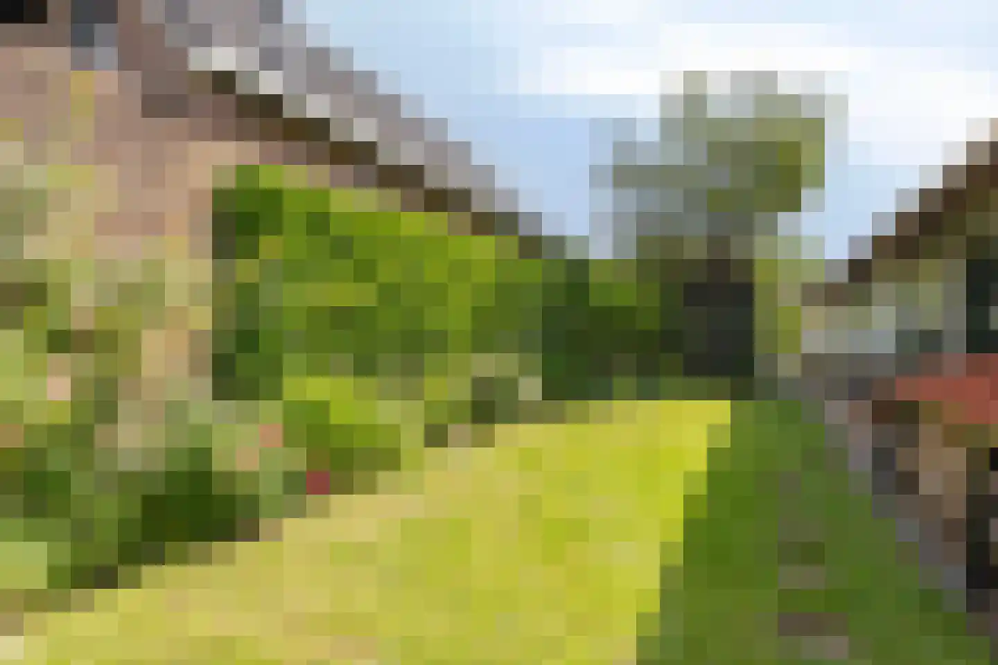 Looydijk 83 Tienhoven thumbnail 75