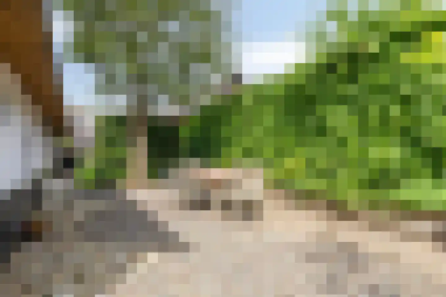 Looydijk 83 Tienhoven thumbnail 77