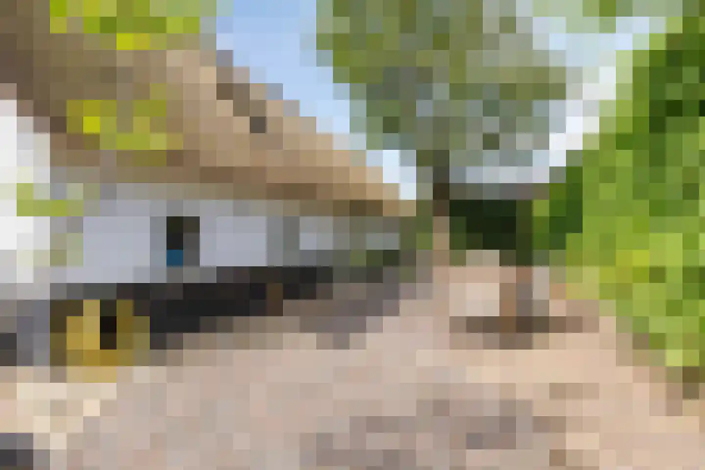 Looydijk 83 Tienhoven thumbnail 78