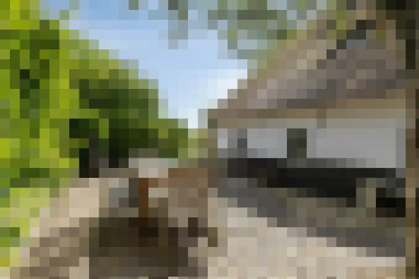 Looydijk 83 Tienhoven thumbnail 79
