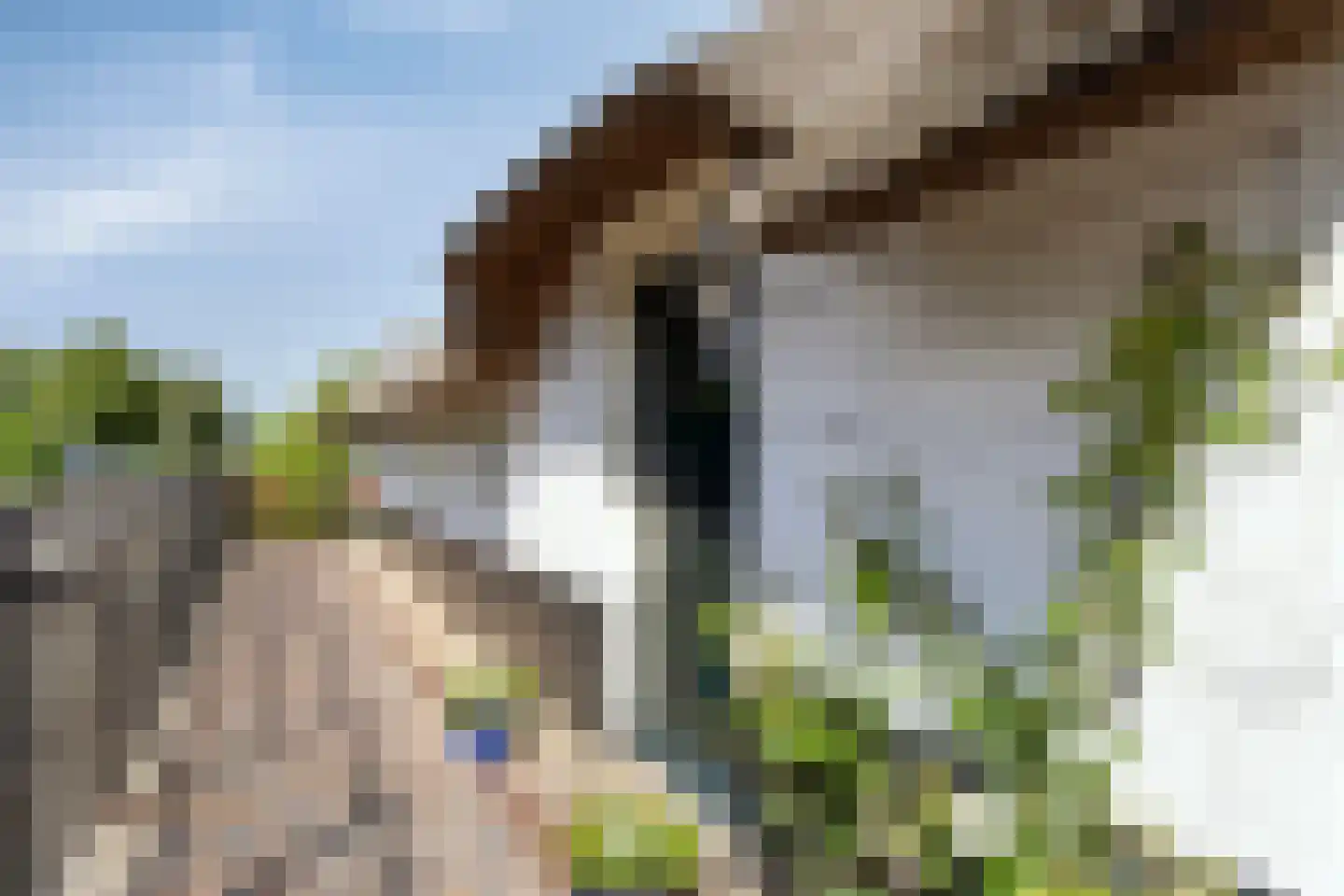 Looydijk 83 Tienhoven thumbnail 81