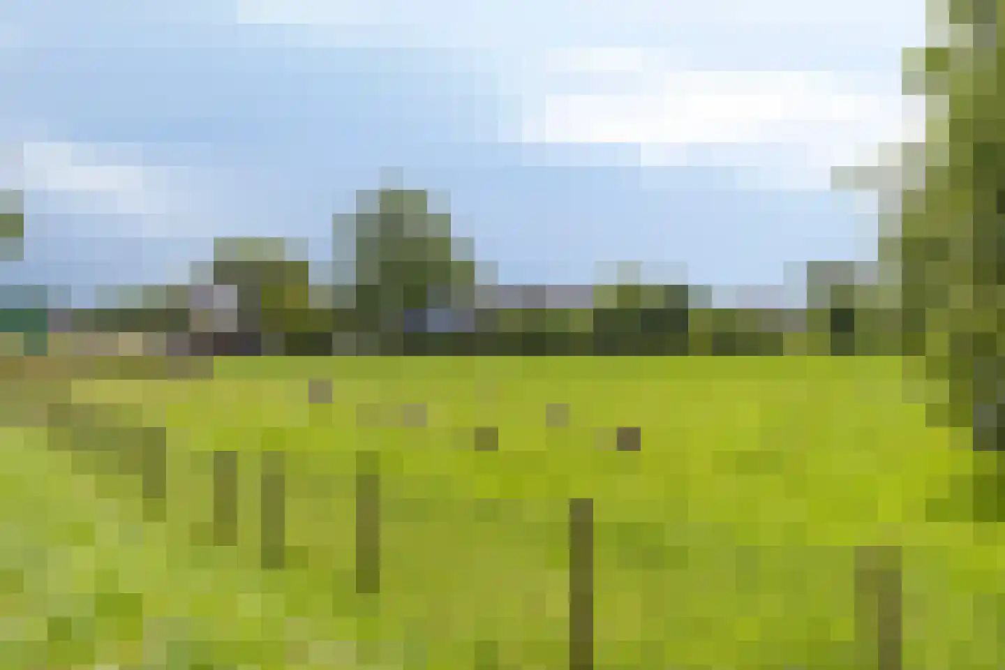Looydijk 83 Tienhoven thumbnail 86