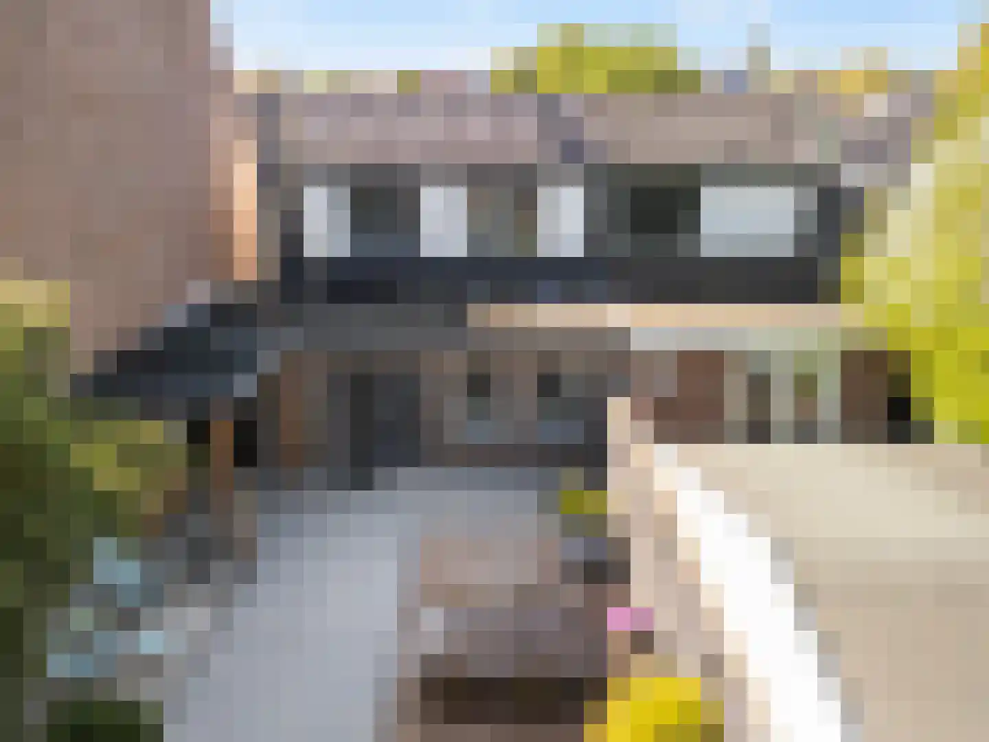 Looydijk 98 De Bilt thumbnail 31
