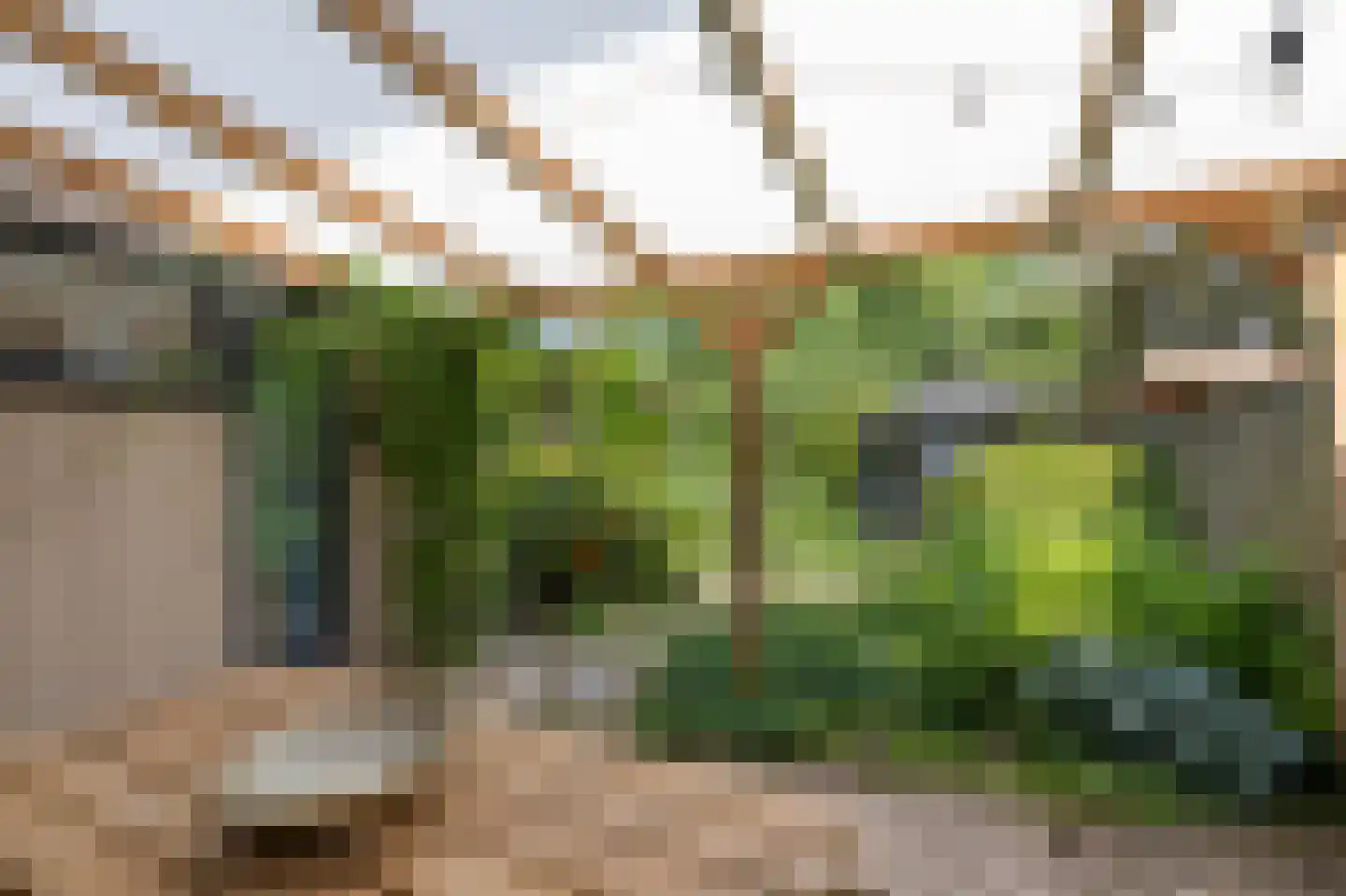 Looyenland 1 Westervoort thumbnail 47