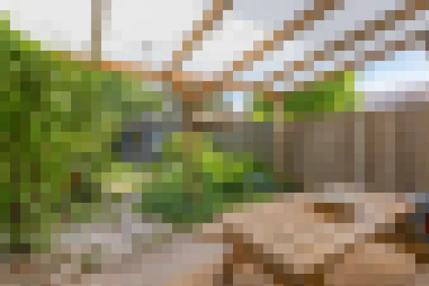 Looyenland 1 Westervoort thumbnail 48