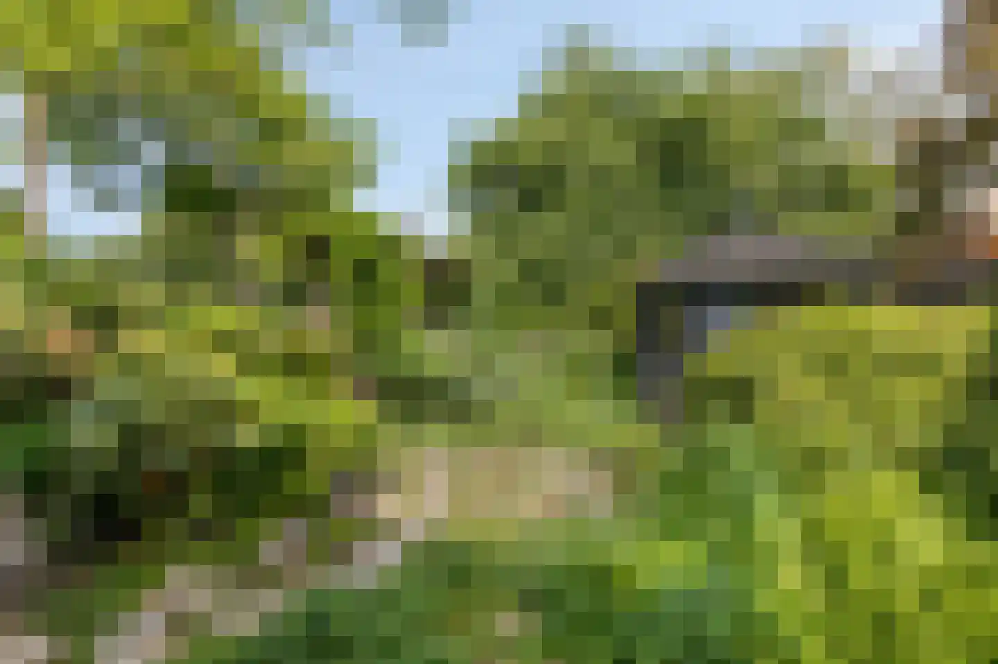 Looyenland 1 Westervoort thumbnail 49