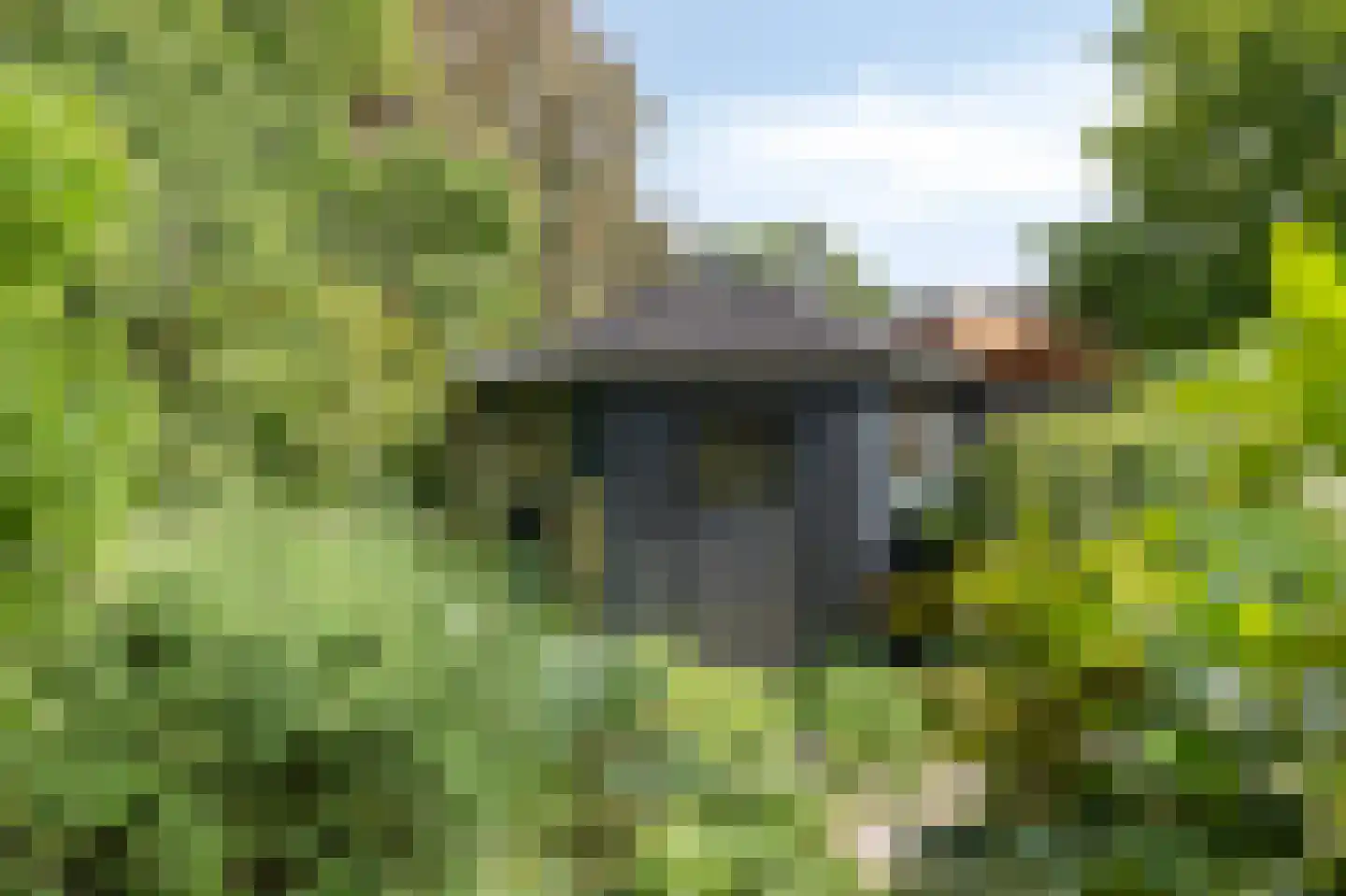 Looyenland 1 Westervoort thumbnail 51