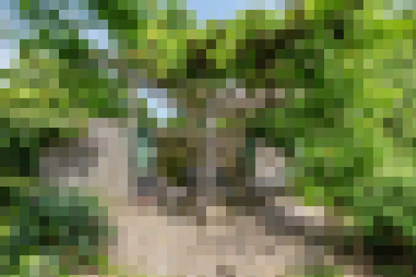 Looyenland 1 Westervoort thumbnail 52