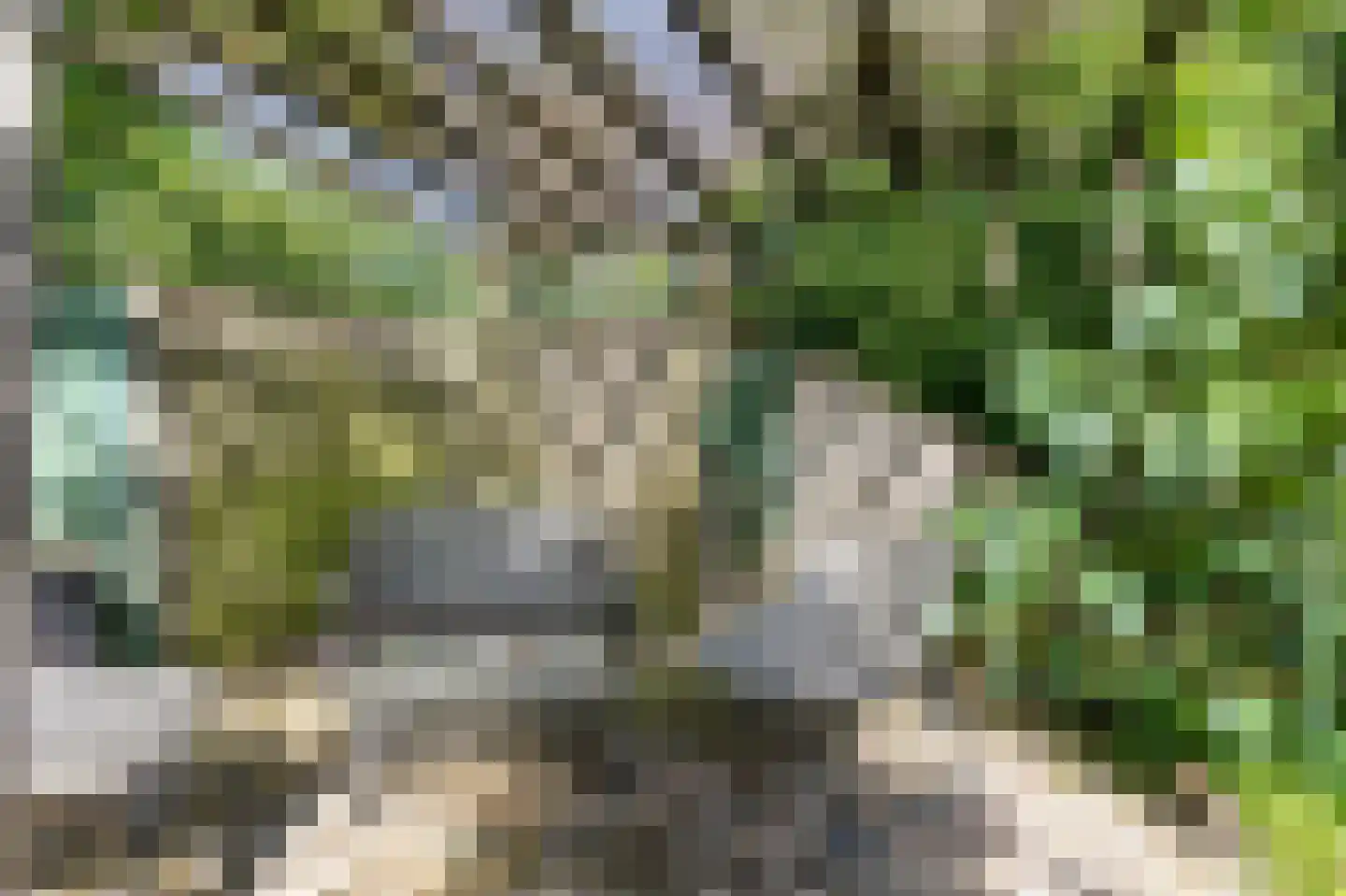 Looyenland 1 Westervoort thumbnail 53