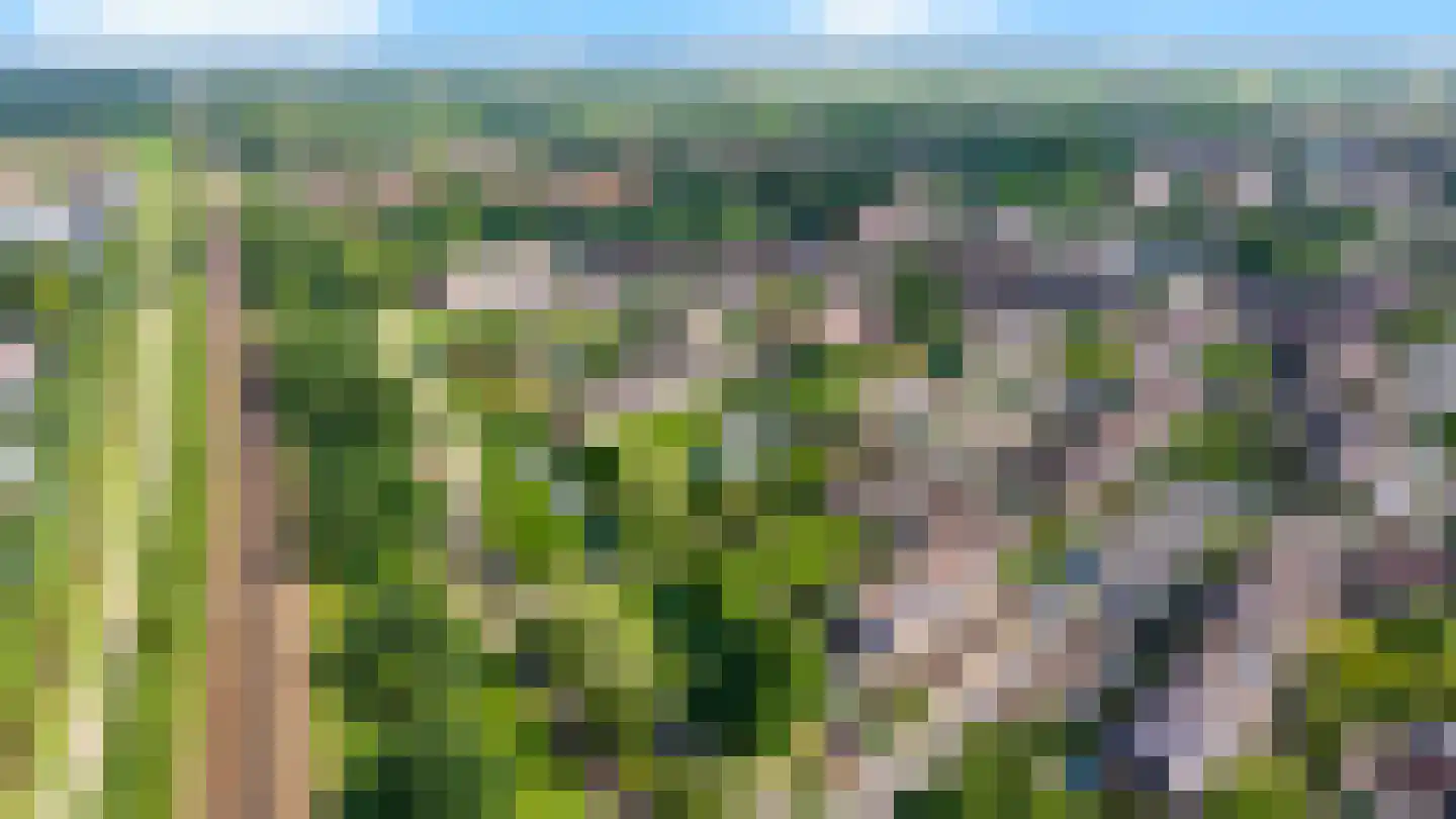 Looyenland 1 Westervoort thumbnail 56