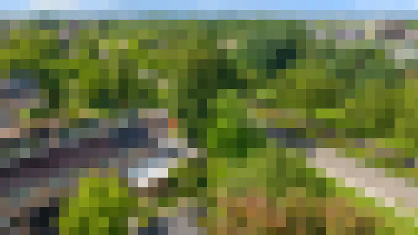 Looyenland 1 Westervoort thumbnail 58