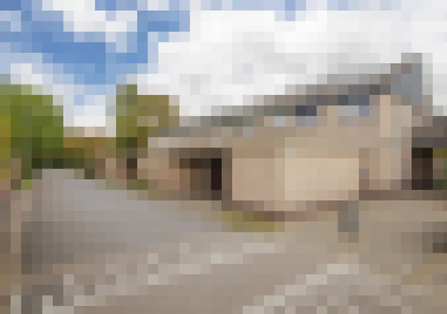 Looyenland 11 Westervoort thumbnail 5