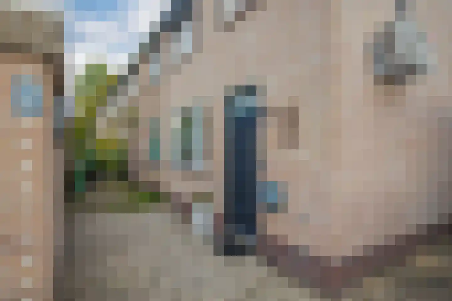 Looyenland 11 Westervoort thumbnail 8