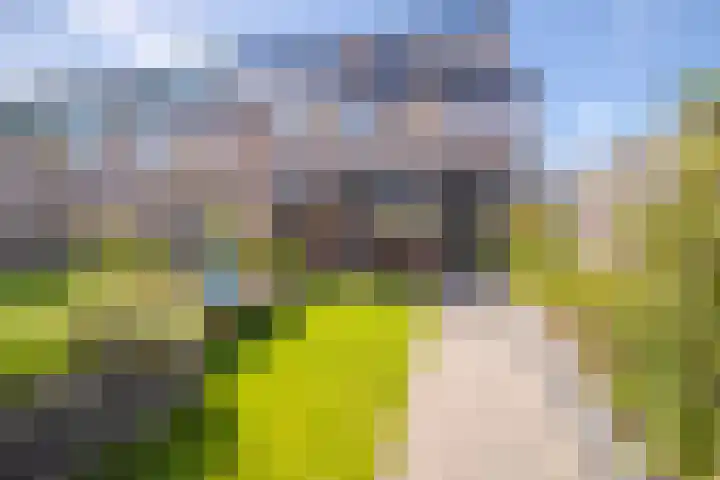 Looyenland 25 Westervoort thumbnail 22