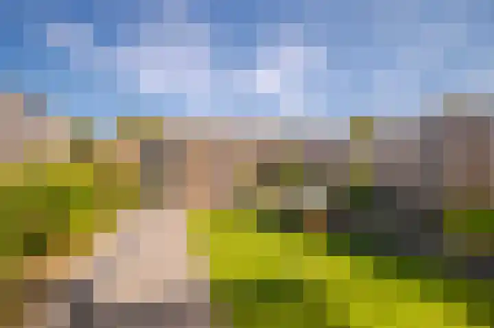 Looyenland 25 Westervoort thumbnail 23