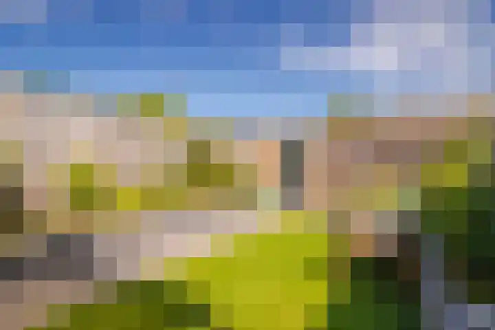 Looyenland 25 Westervoort thumbnail 24