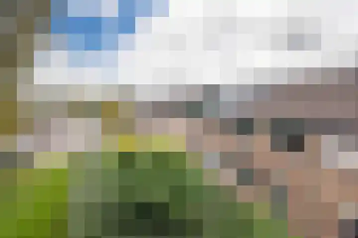 Looyenland 39 Westervoort thumbnail 39