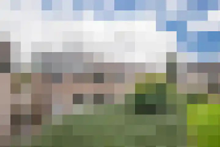 Looyenland 39 Westervoort thumbnail 6