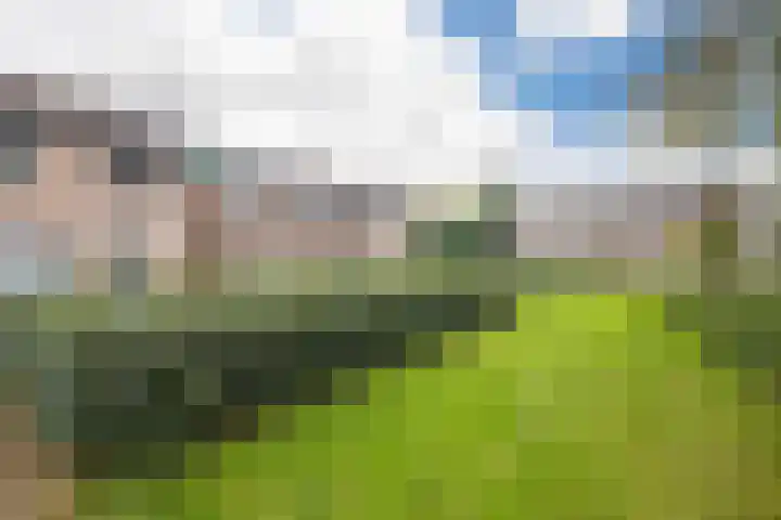 Looyenland 39 Westervoort thumbnail 7