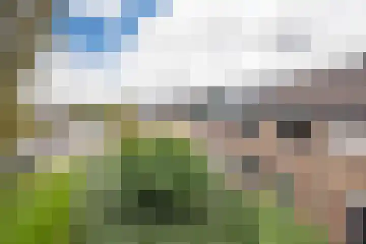 Looyenland 39 Westervoort thumbnail 8