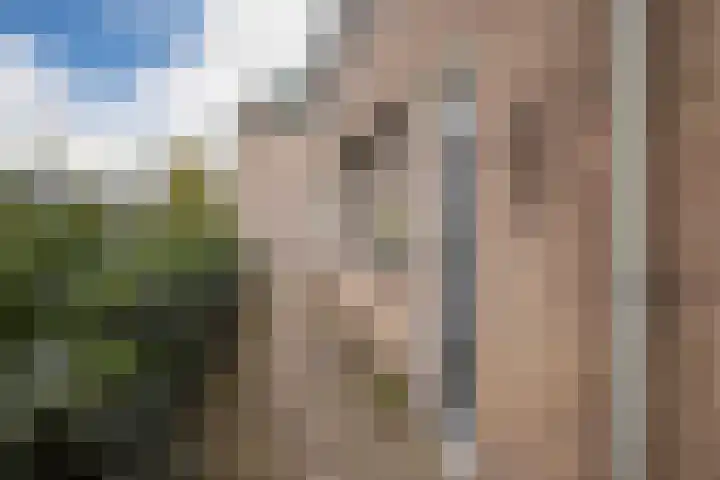 Looyenland 39 Westervoort thumbnail 9