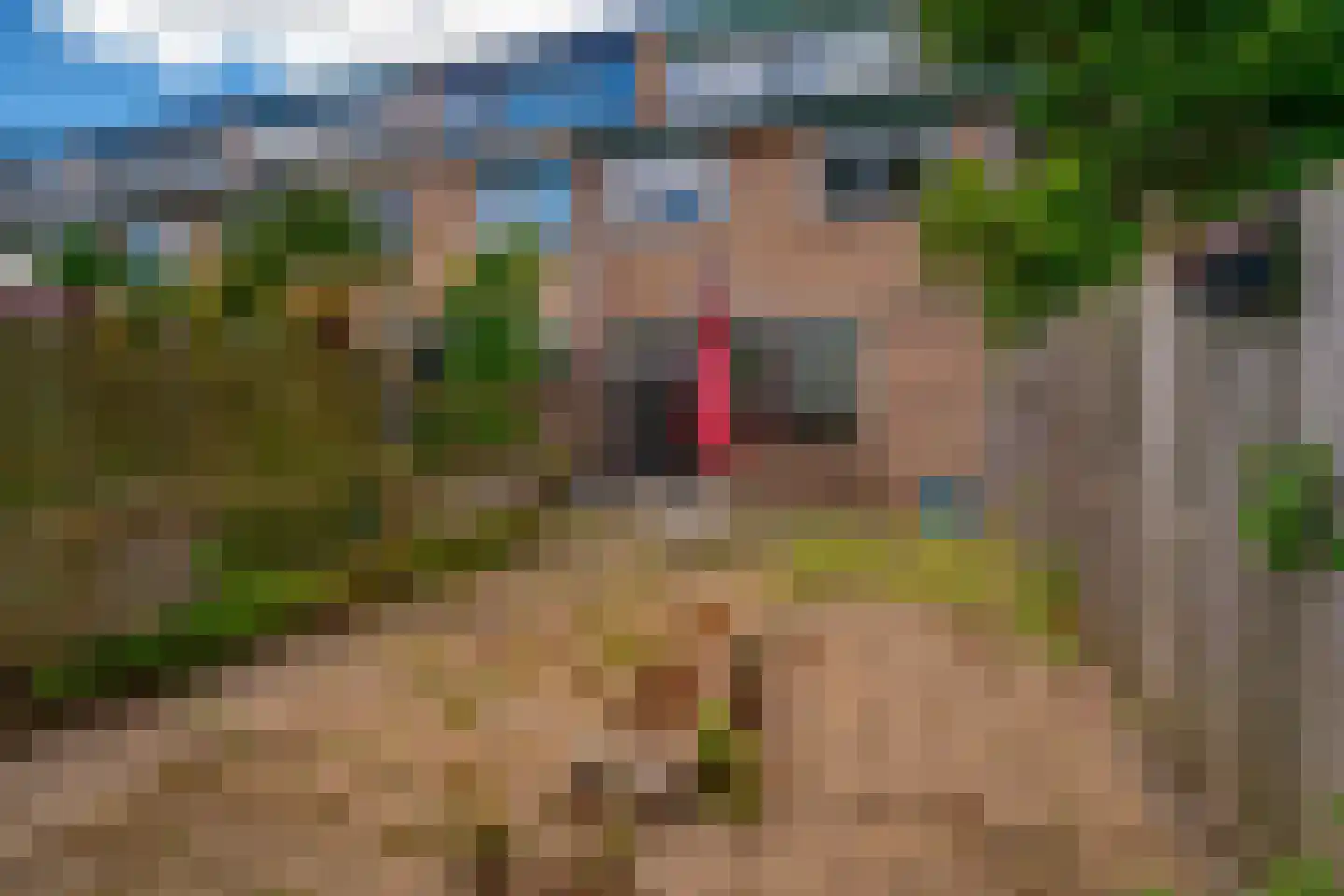 Looyenland 69 Westervoort thumbnail 14