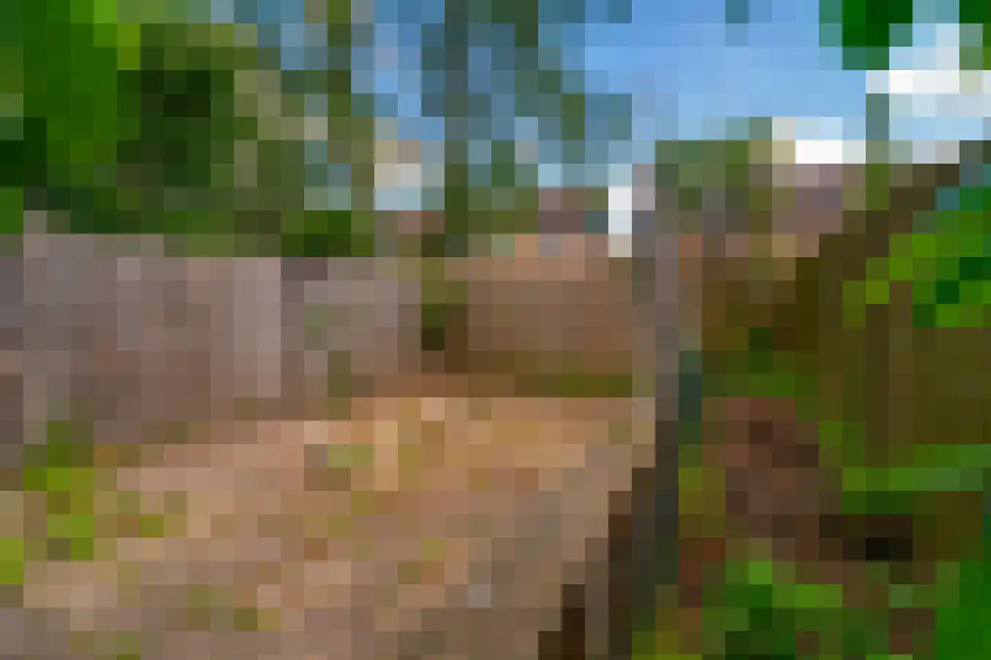 Looyenland 69 Westervoort thumbnail 17