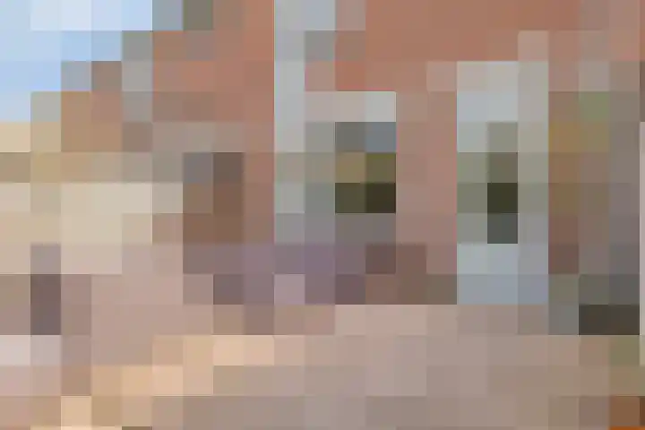 Looyerslaan 28 Katwijk thumbnail 31