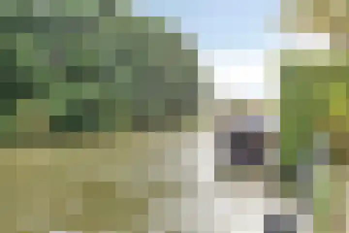 Looyerslaan 28 Katwijk thumbnail 34