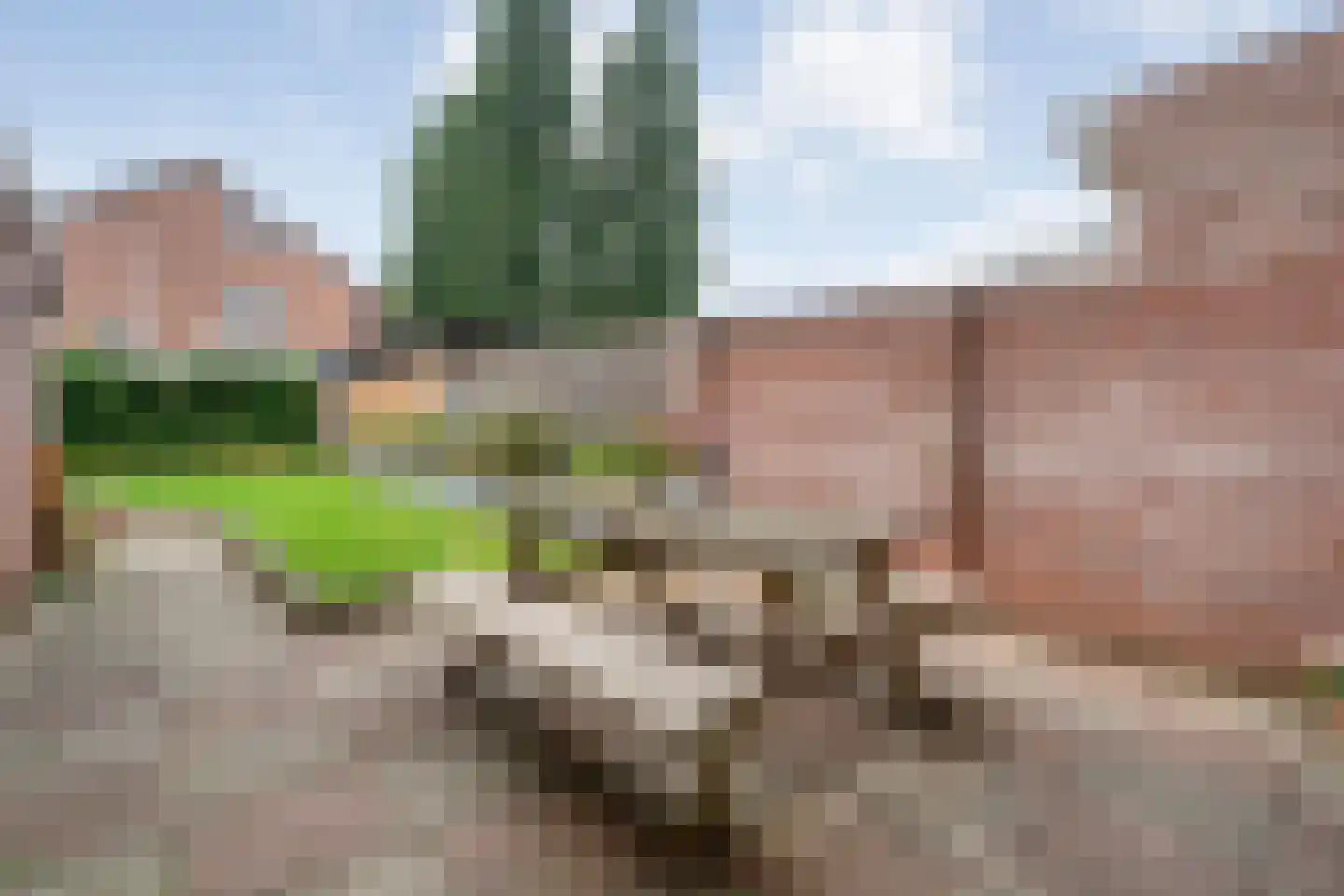 Loozermars-Noord 23 Gramsbergen thumbnail 13