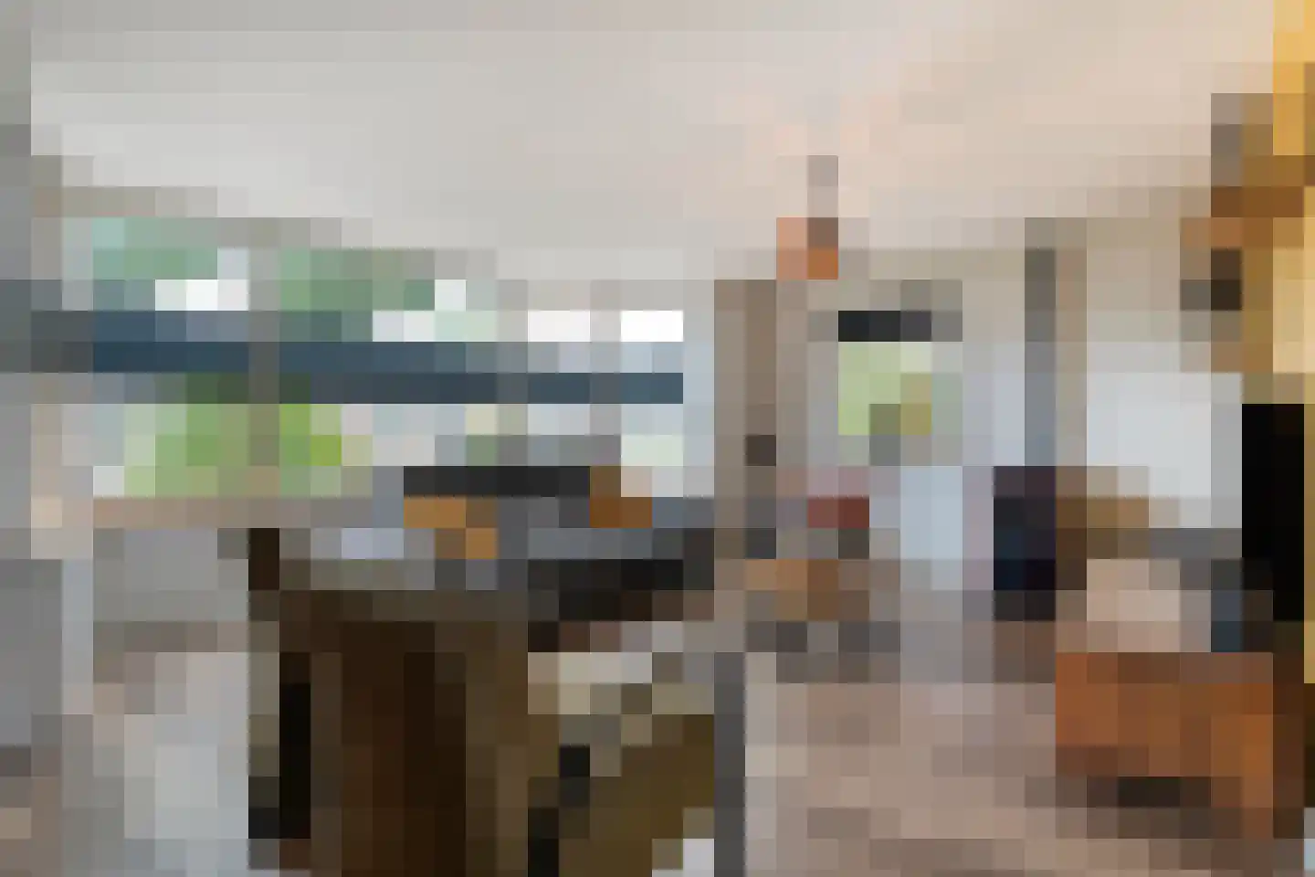 Loozermars-Noord 23 Gramsbergen thumbnail 19