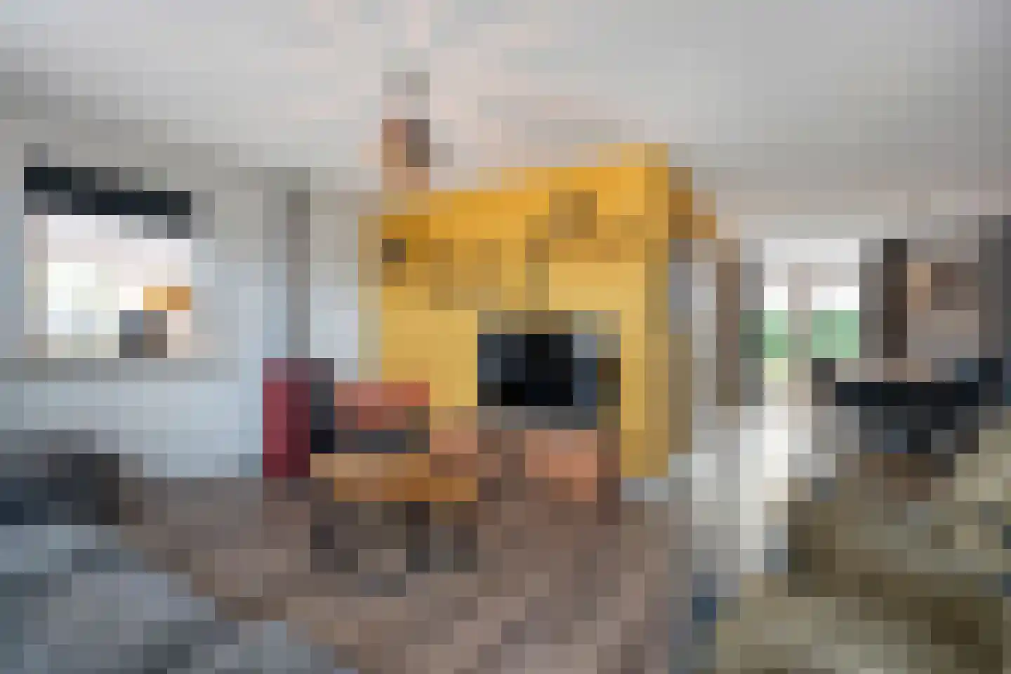 Loozermars-Noord 23 Gramsbergen thumbnail 20