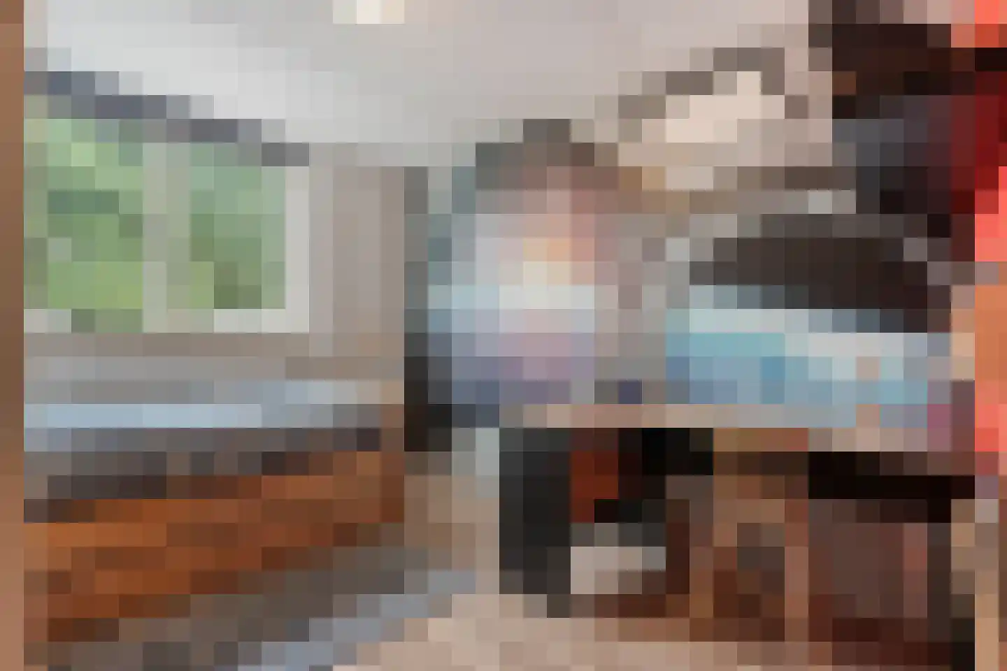 Loozermars-Noord 23 Gramsbergen thumbnail 31