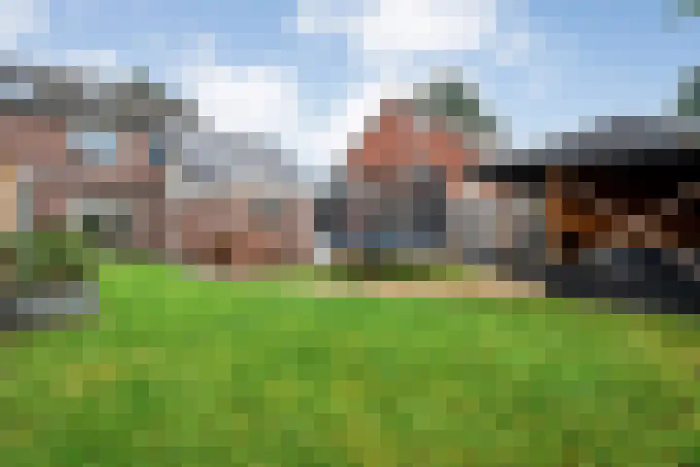 Loozermars-Noord 23 Gramsbergen thumbnail 4